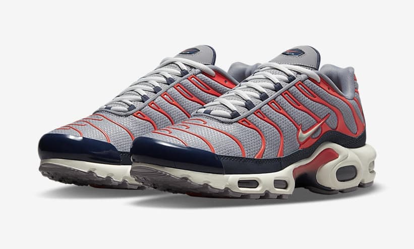 Nike Air Max Plus TN — Grey USA