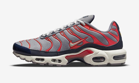 Nike Air Max Plus TN — Grey USA